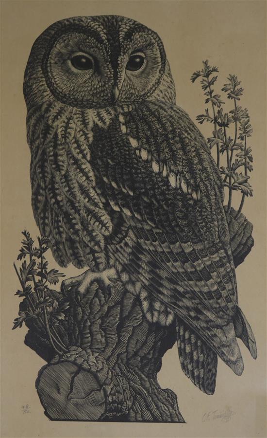 C.F. Tunnicliffe, wood engraving on an owl, signed, 40/50, 37 x 23cm